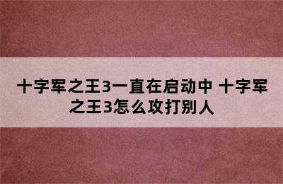 十字军之王3一直在启动中 十字军之王3怎么攻打别人